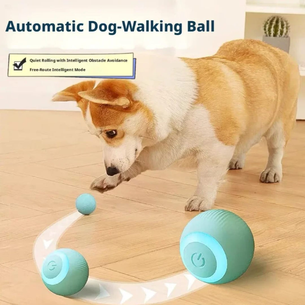 Interactive Automatic Rolling Cat Toy Ball | USB Rechargeable Smart Pet Ball with Obstacle Avoidance | Keep Cats Active & Entertained