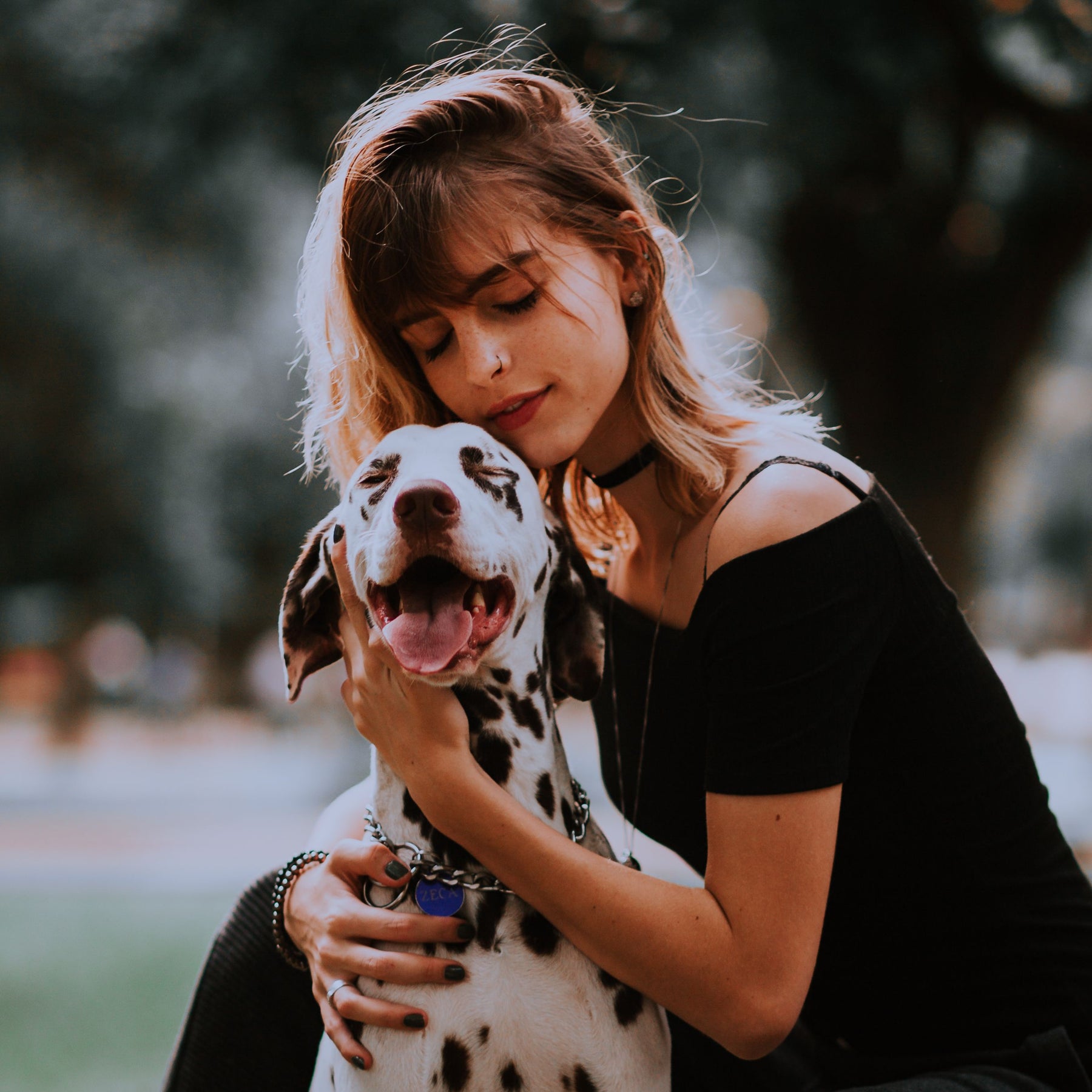 A happy dog and cat enjoying time together
