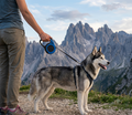 16FT Retractable Dog Leash with Non-Slip Handle